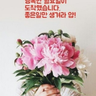 유저 프로필 사진